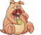 cochon-haaff